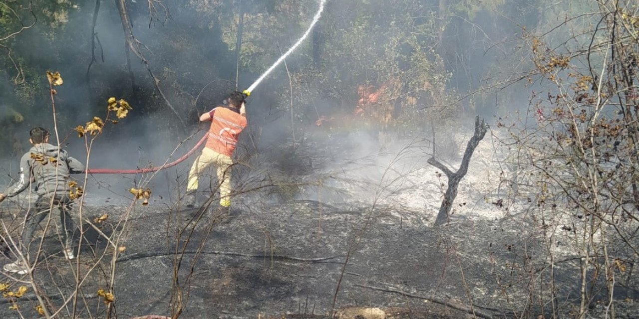 Hatay’da Orman Yangını