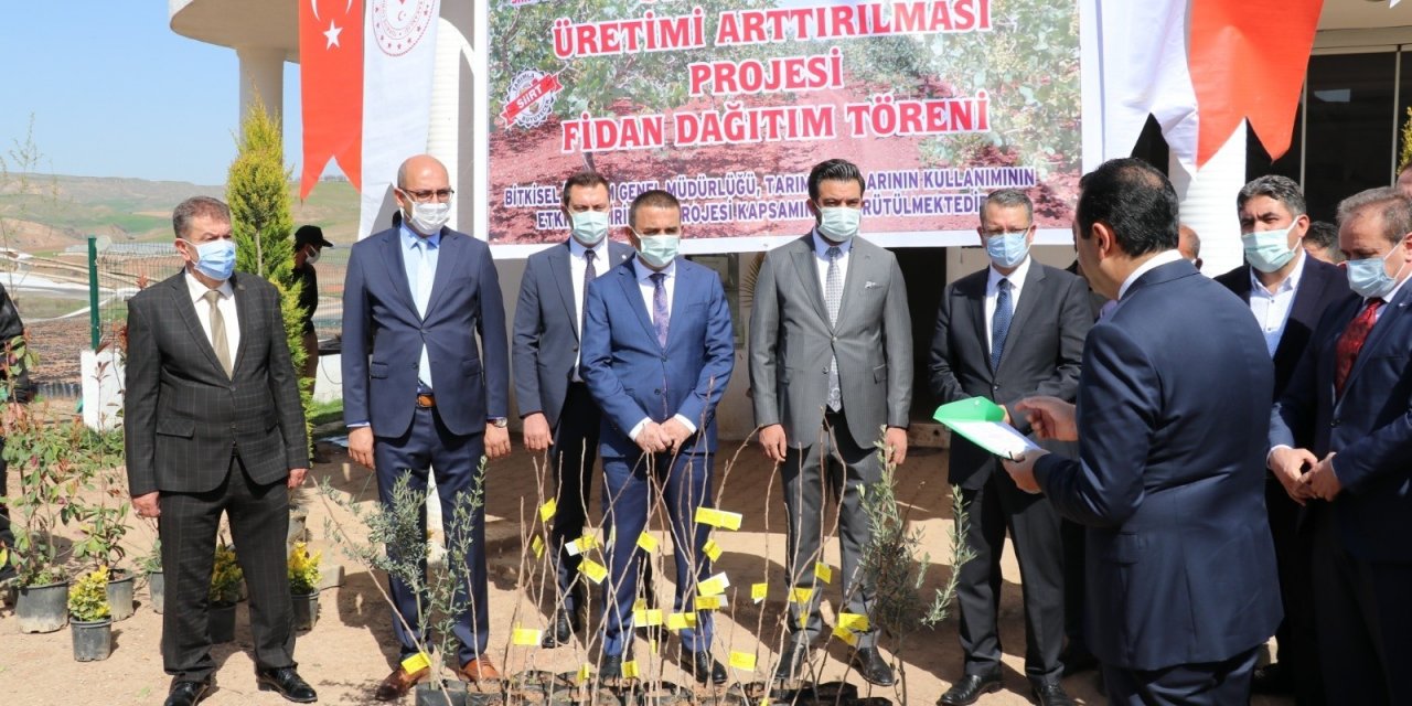 Siirt’te 4 Bin Dekar Fıstık Bahçesi Tesis Edilecek