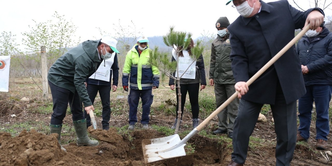 Fatsa’da 160 Fidan Toprakla Buluştu