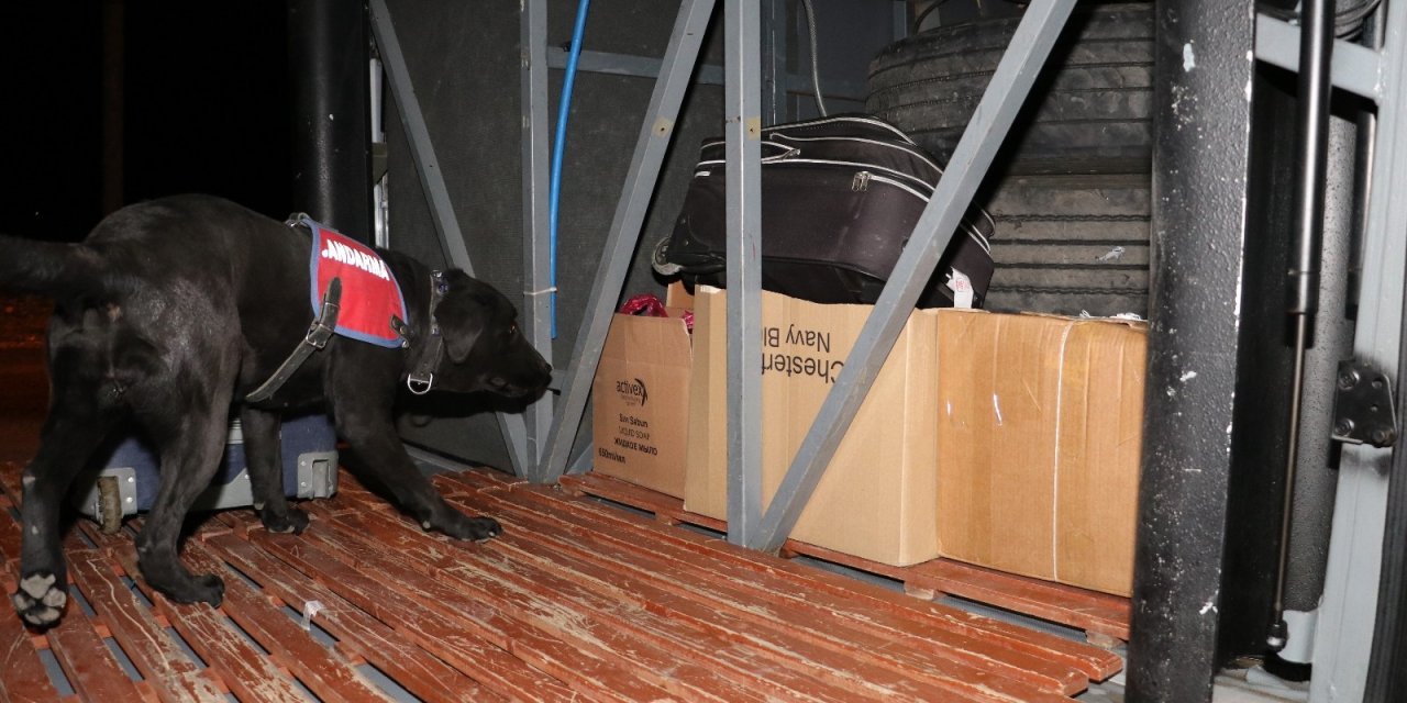 Hassas Burunlu Köpeklerle Didik Didik Aradılar