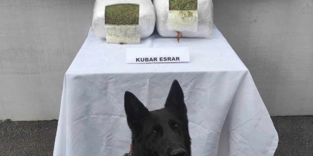Jandarma Yolcu Valizinde 11 Kilo Esrar Ele Geçirdi