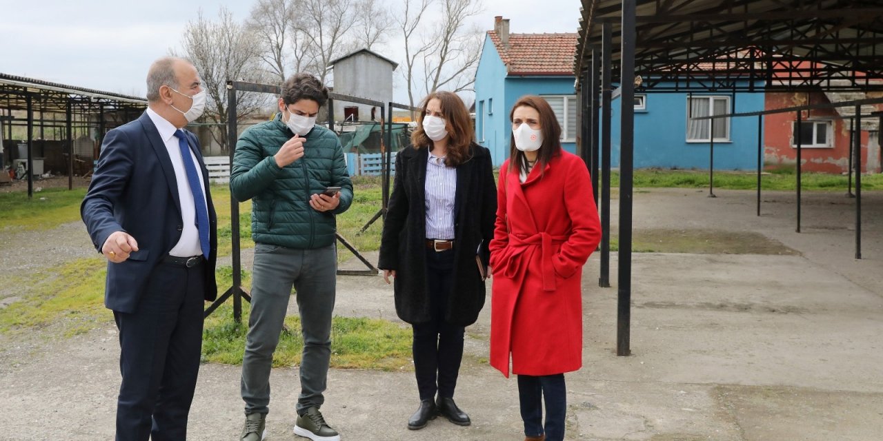 Mudanya’ya Sokak Hayvanları Rehabilitasyon Merkezi Ve Barınak