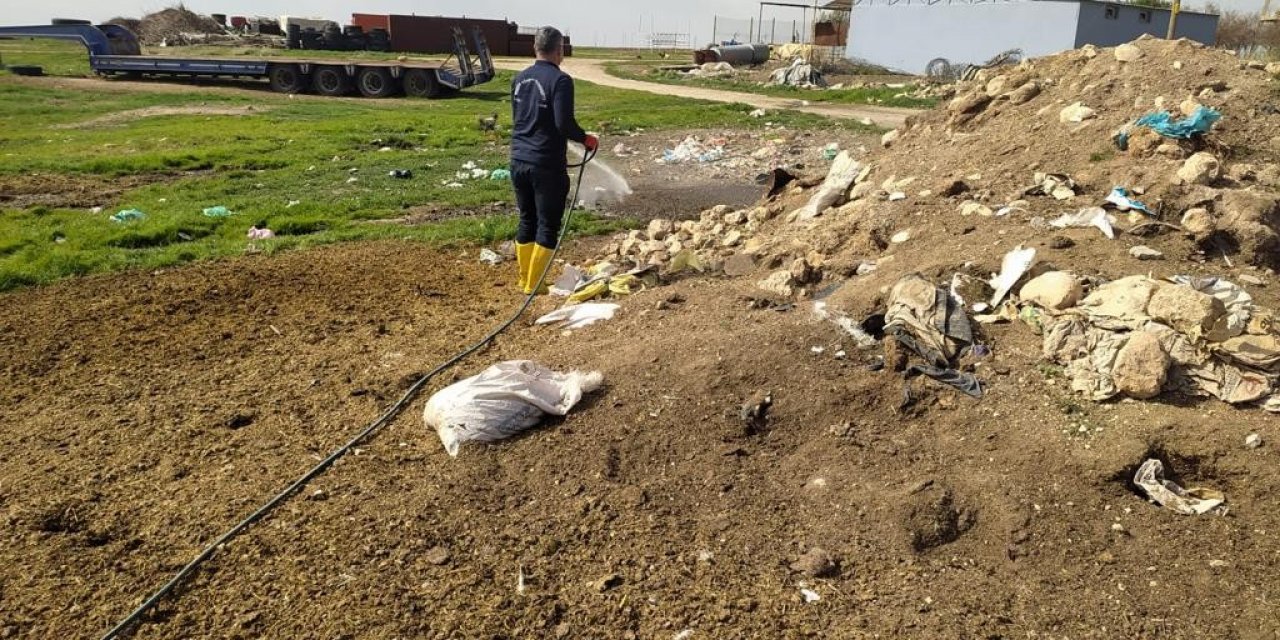 Mardin’de Sinek Ve Haşerelere Karşı İlaçlama Çalışması Başlatıldı