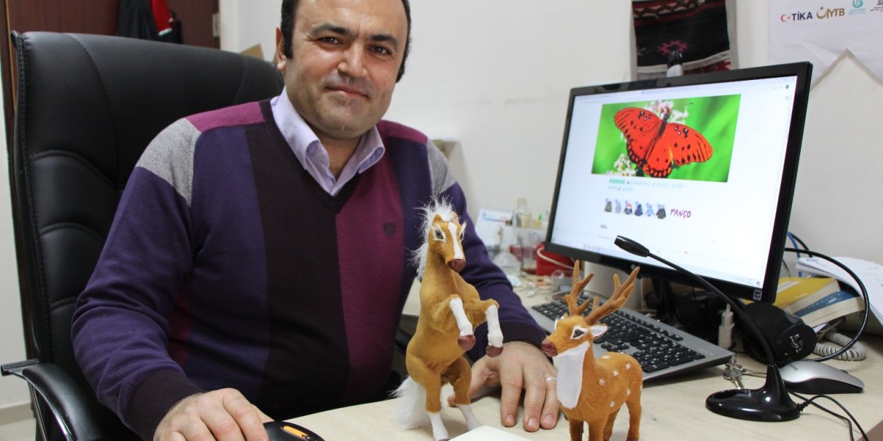 ’eski Türkçe’de Çok İlginç Hayvan İsimleri: Kedi ‘çetük’, Kelebek ‘baybayuk’