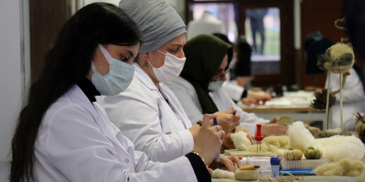 O Kenevirler Büyüdü, Bakın Ne Oldu