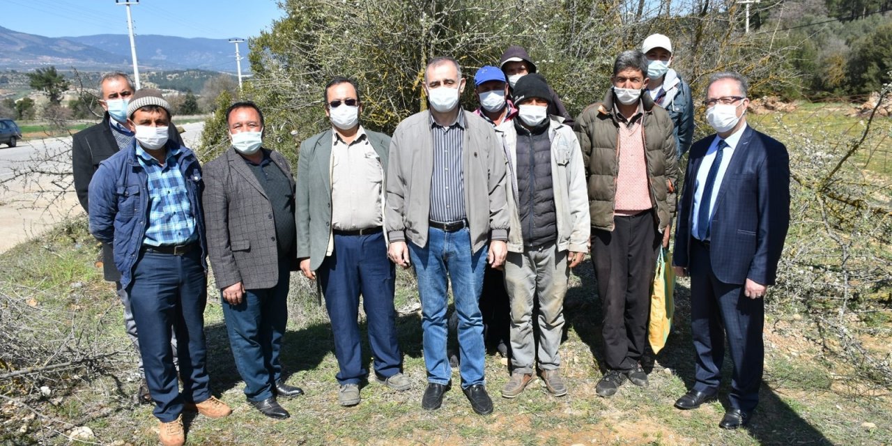 Karacasu’da 12 Bin Ahlat Ağacı Aşılanıyor