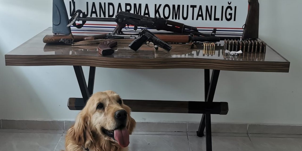 Adışaman’da Eş Zamanlı Silah Operasyonu: 2 Gözaltı