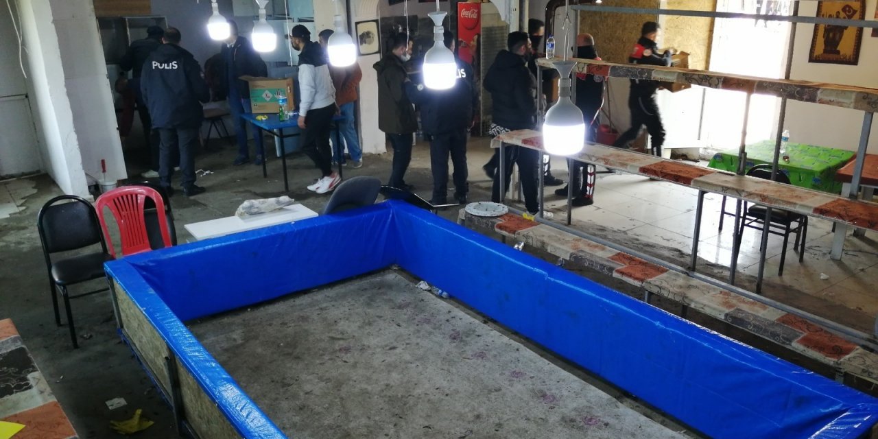 Çanakkale’de Horoz Dövüşünde 54 Gözaltı