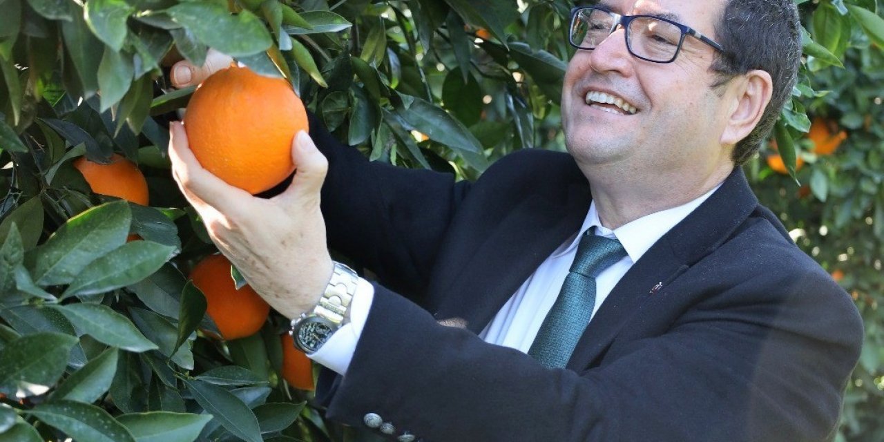 Köyceğiz Portakalının Farklılıkları Raporlandı