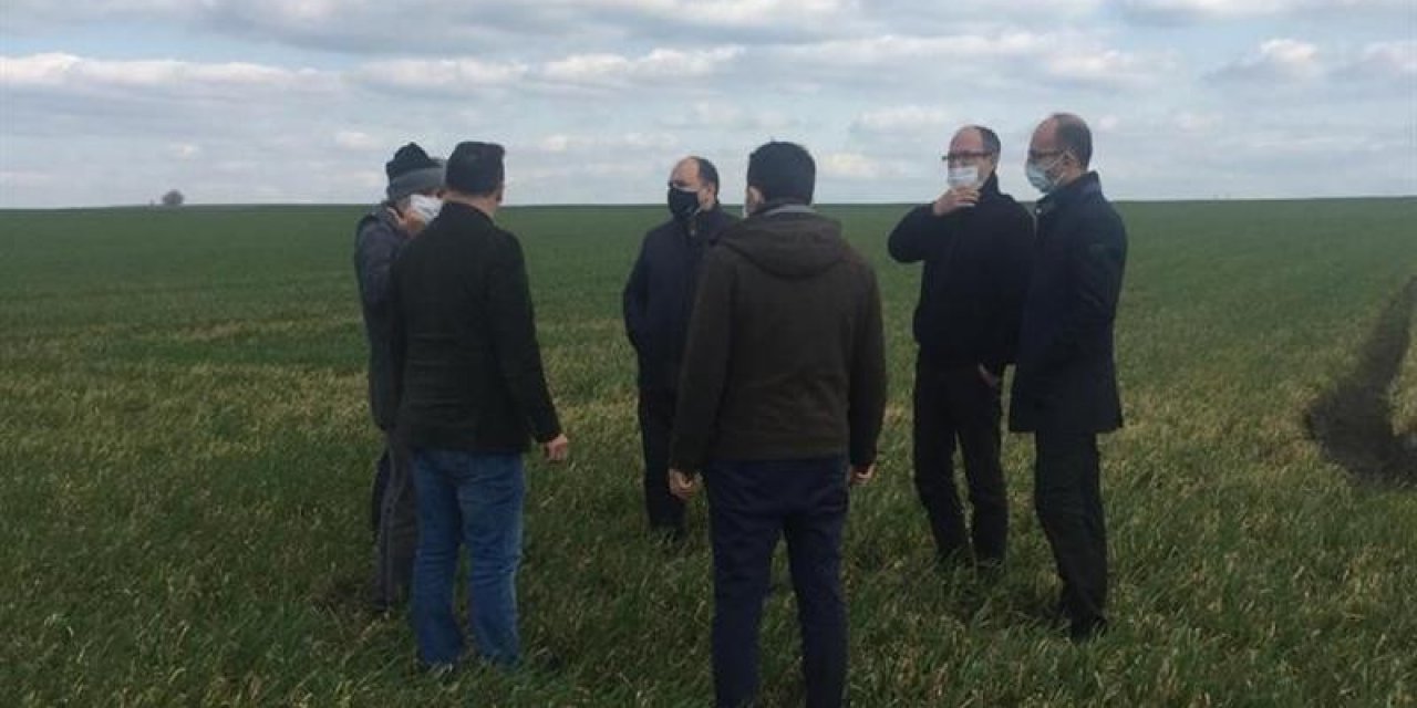 Kırklareli’nde Buğday Arazileri İncelendi