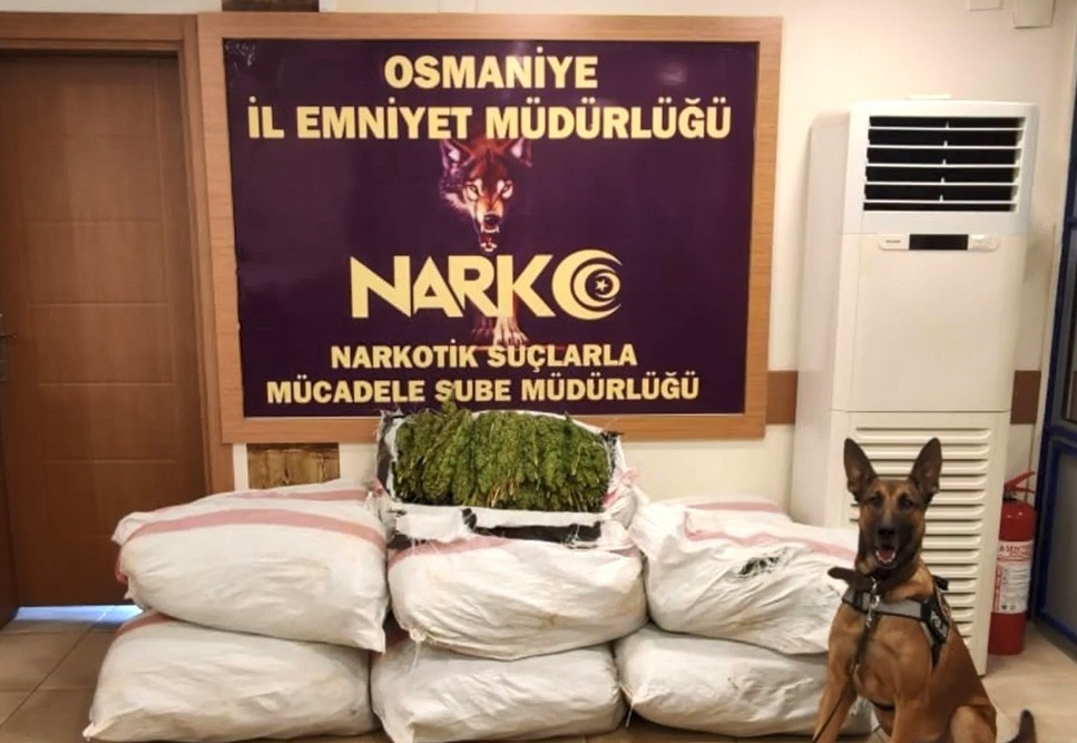 Osmaniye’de tır dorsesinde 135 kilo esrar ele geçirildi