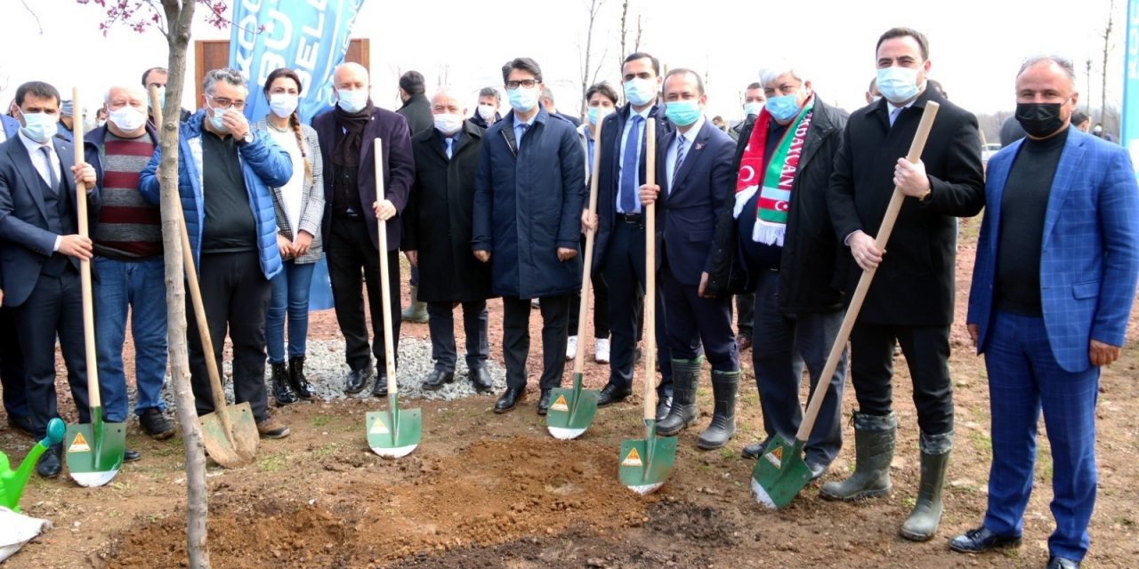 Türkiye-azerbaycan Kardeşliği Fidandan Ormana Dönüşecek