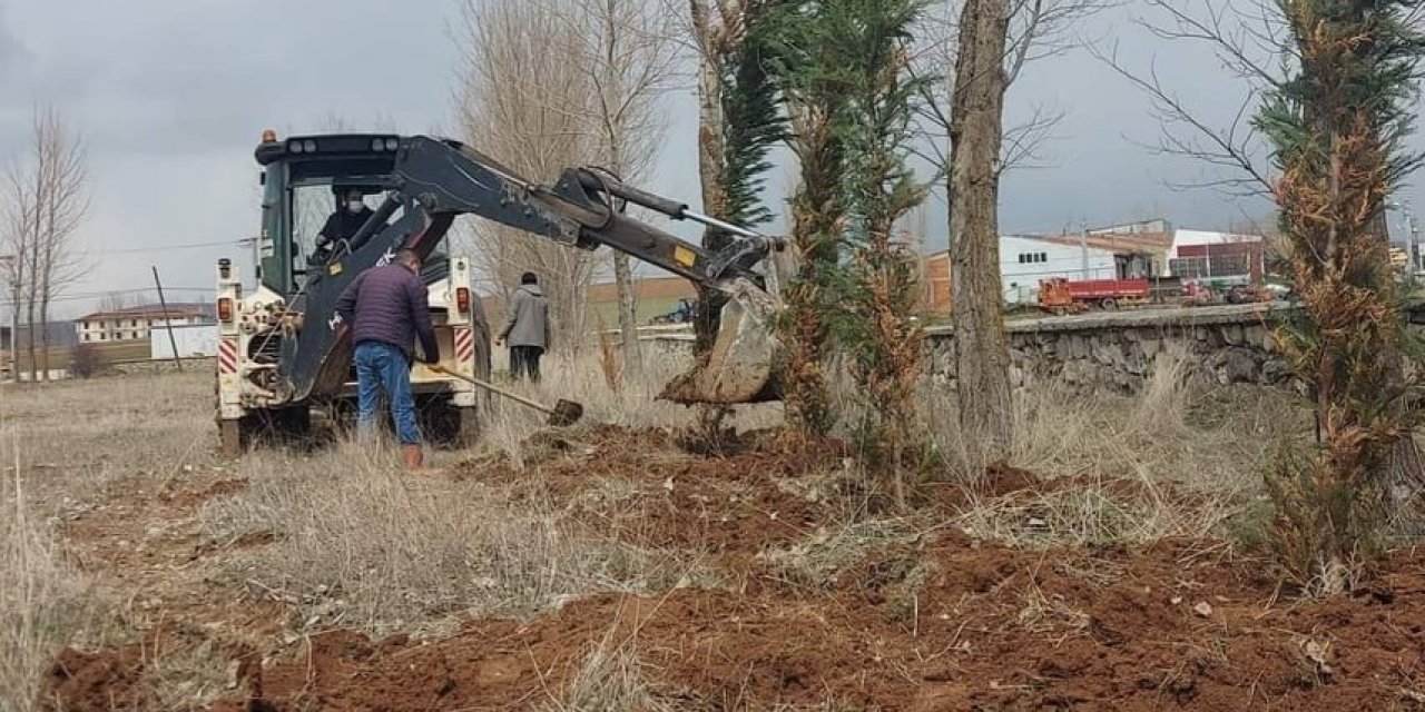 Mezarlıkta Ağaçlandırma Ve Bakım Çalışmaları