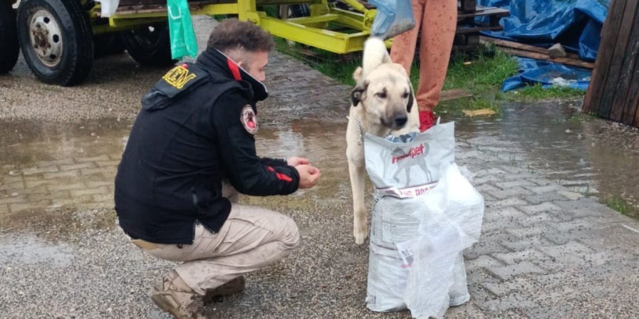 Polis Destek Oldu, Sokak Hayvanlarını Koruma Derneği Barınak Yaptı