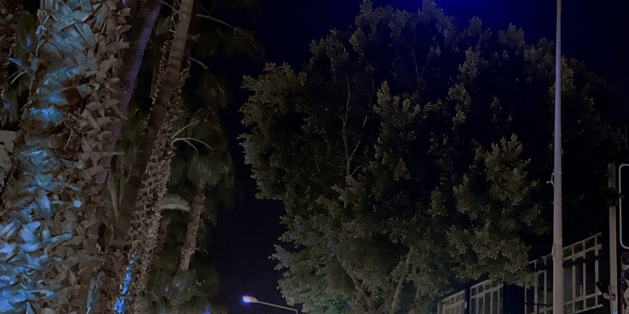 ’otizme Mavi Işık Yak’ Kampanyasına Aedaş’tan Destek