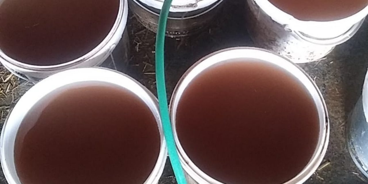 Limonata Değil Şebeke Suyu: Hayvanlar Bile İçemedi