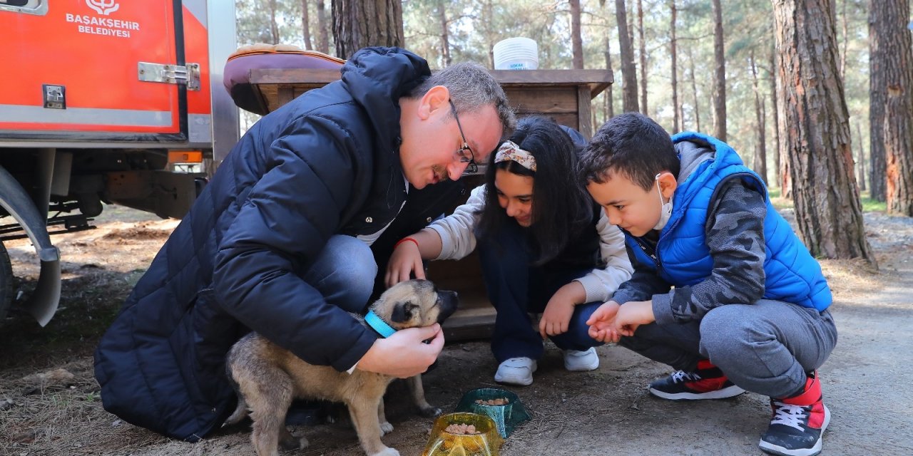 Başkan Kartoğlu, İki Yavru Sokak Köpeğini Sahiplendi