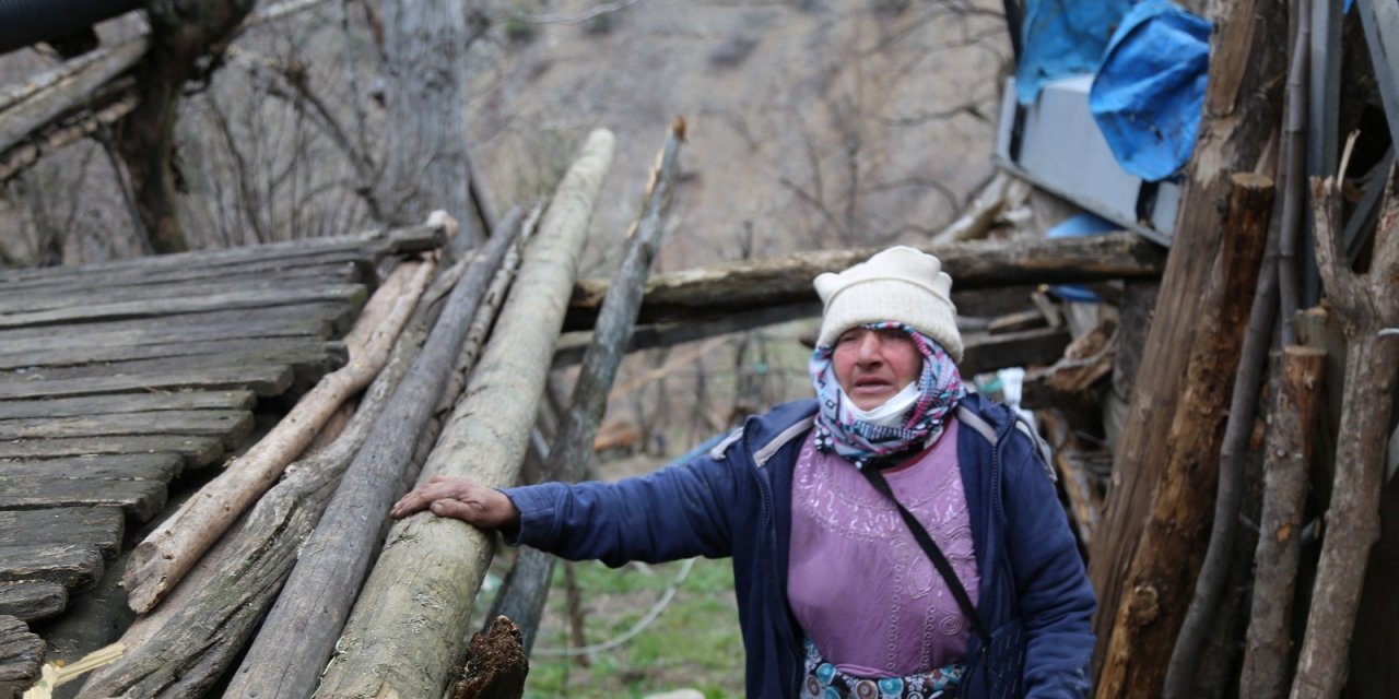 Artvin Ortaköy’de Evi Yanan Yaşlı Kadın "ben Nerede Kalacağım" Demişti, Vali Yardımcısı Aileyi Ziyaret Etti