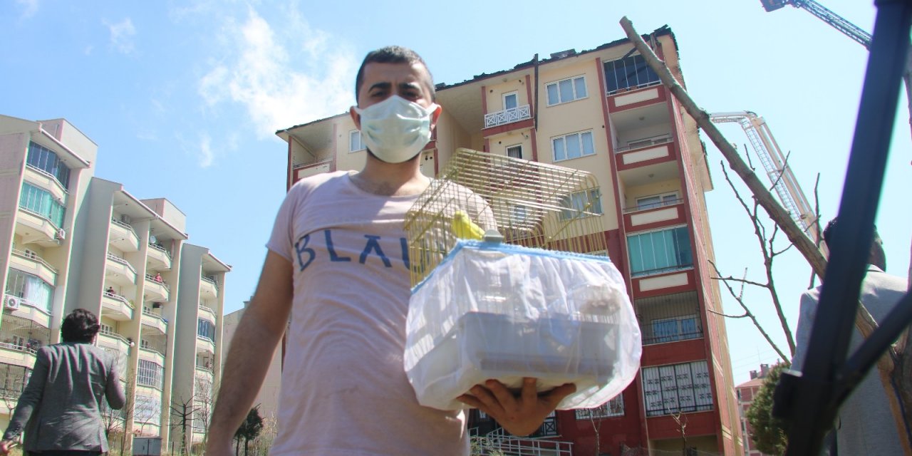 Alevlerin Arasına Dalıp Evcil Hayvanlarını Kurtardılar