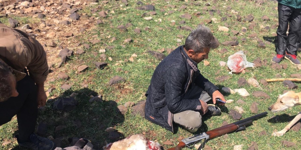 Kaçak Avlanan Şahıs Yakalandı