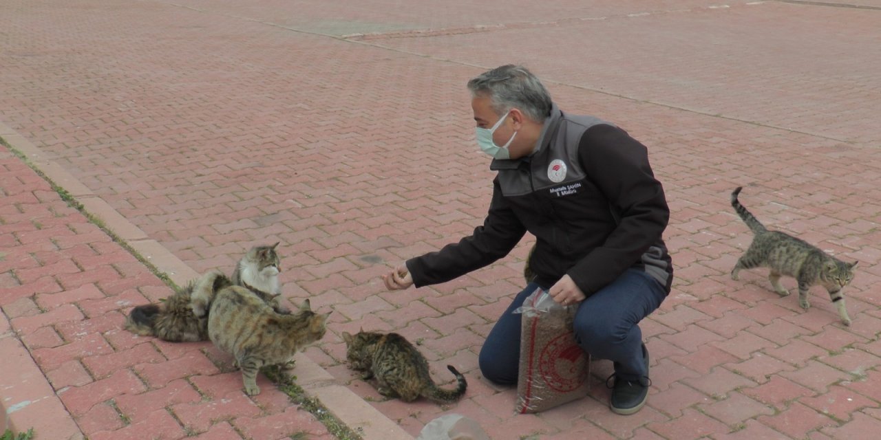 İ̇l Tarım Ve Orman Müdürlüğü ‘dünya Sokak Hayvanları Günü’nde Sokak Hayvanlarına Mama Dağıttı