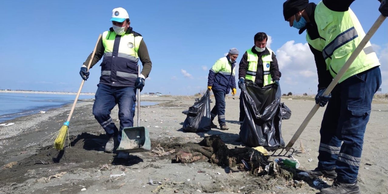 Van Gölü Sahilinde Bahar Temizliği