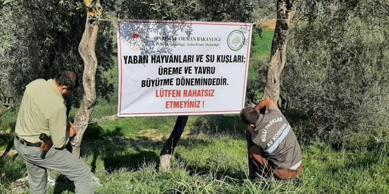 Üreme Döneminde Olan Yaban Hayvanları Ve Kuşlar İçin Vatandaşları Uyardılar