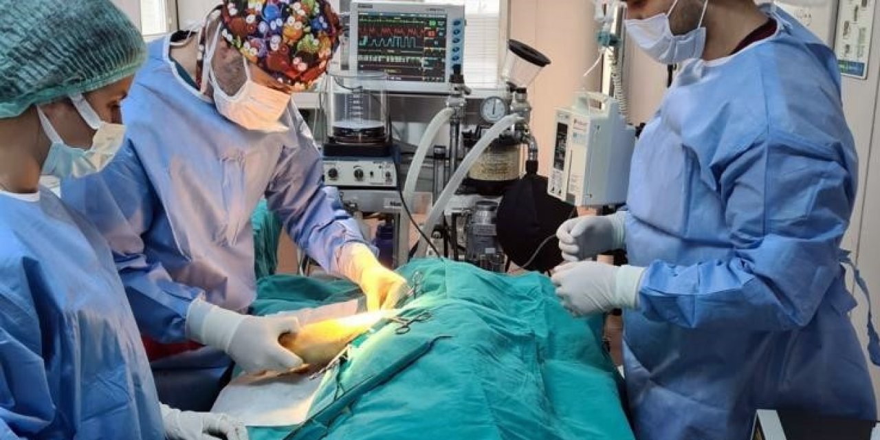 Anne Köpek Ve Yavrularına Osmangazi Şefkati