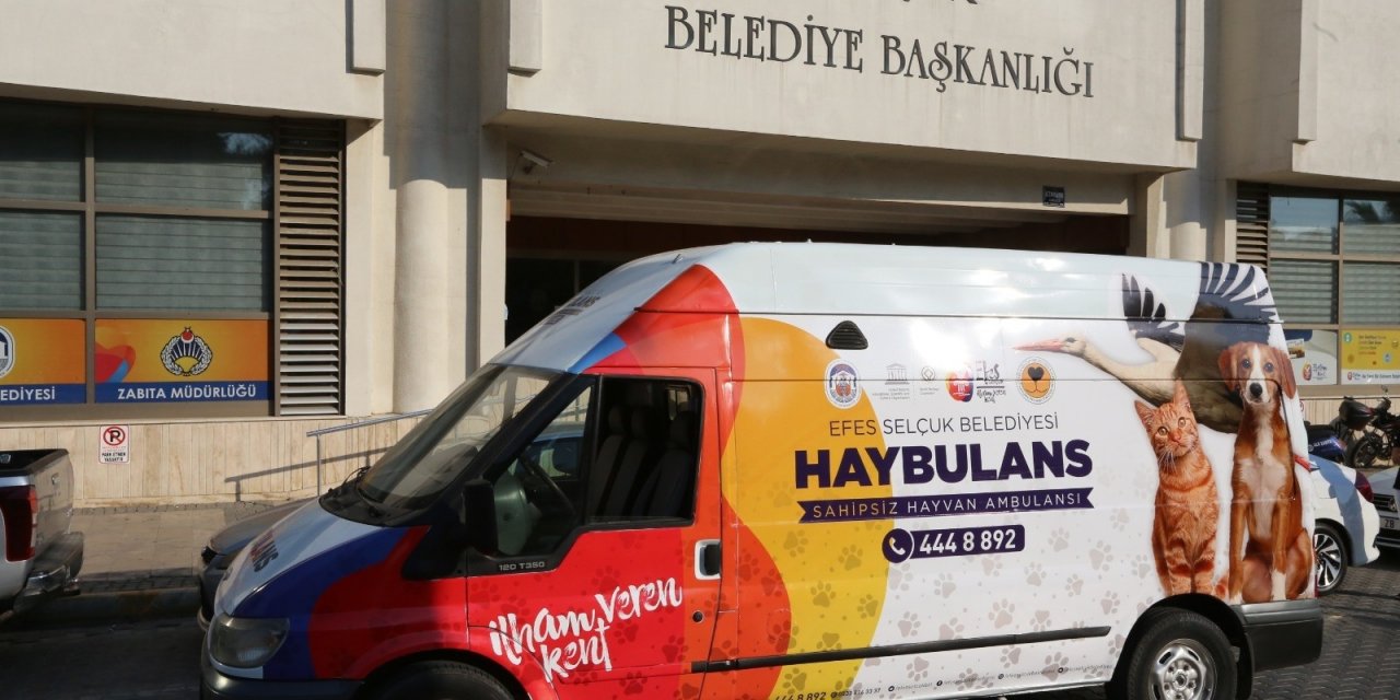 Selçuk Belediyesi Pandemide Sokak Hayvanları Yalnız Bırakmadı