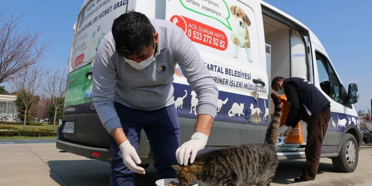 Kartal Belediyesi Kısıtlama Günlerinde Sokak Canlarının Yanında