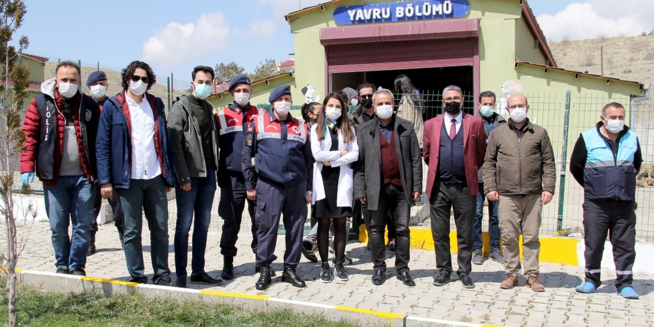 Van’da ‘sokak Hayvanları Koruma Günü’ Etkinliği