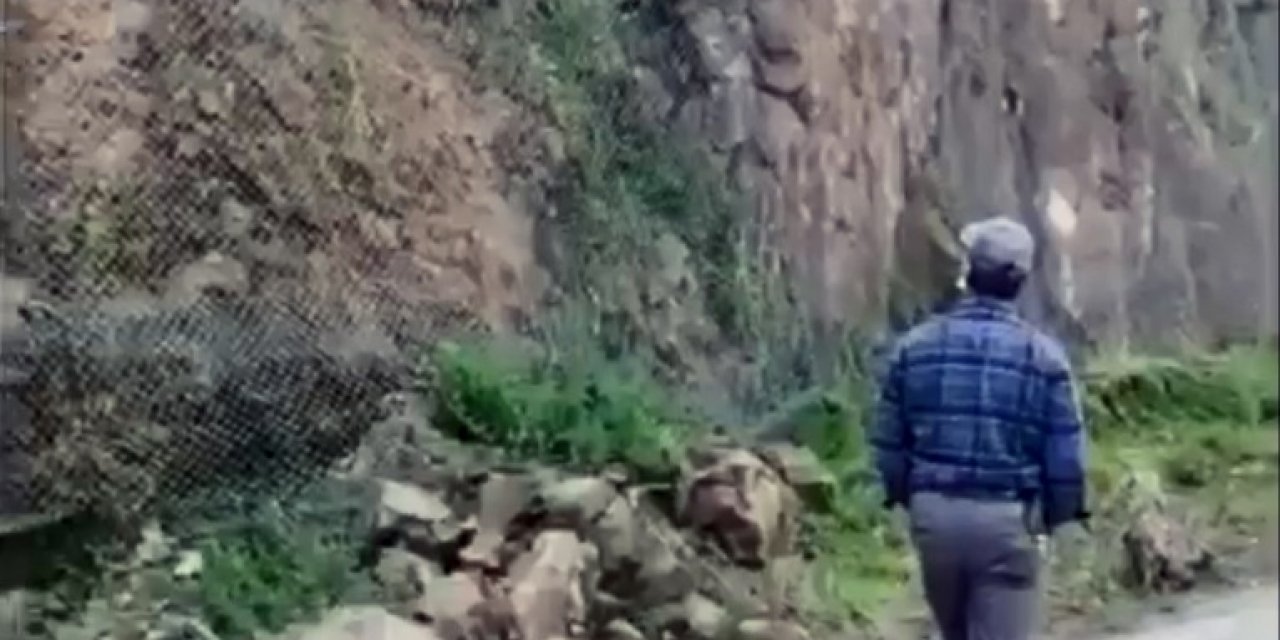 Tel Örgülerin Arkasında Sıkışan Kargayı Gören Köpek Haber Verdi, İtfaiye Kurtardı