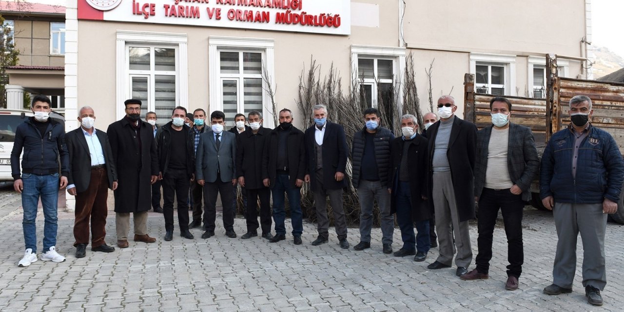 Çataklı Çiftçilere Sertifikalı Ceviz Fidanı Dağıtımı