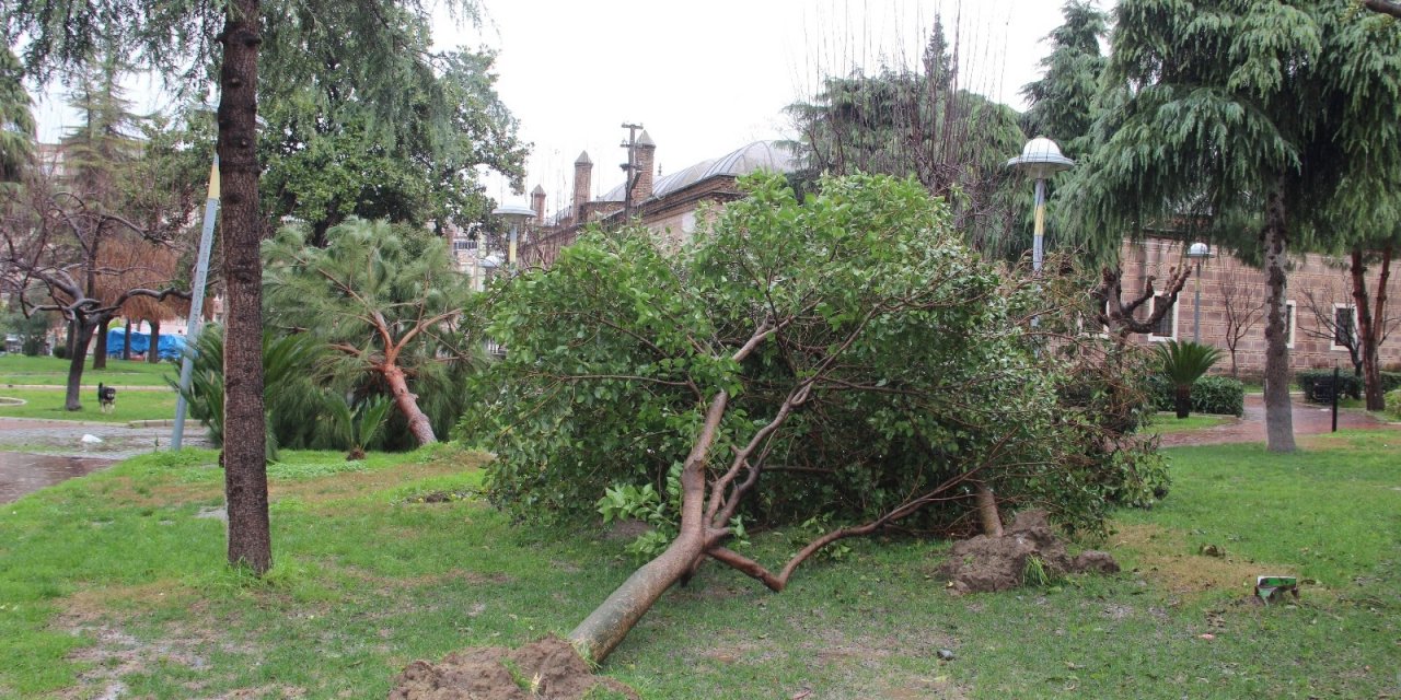 Manisa İçin Kuvvetli Rüzgar Ve Fırtına Uyarısı
