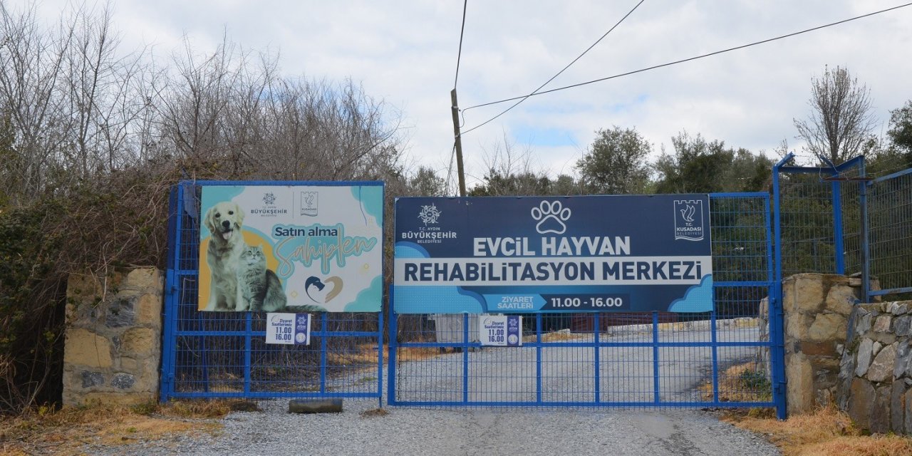 “evcil Hayvan Rehabilitasyon Merkezi 10 Gün İçinde Yeniden Ziyarete Açılacak