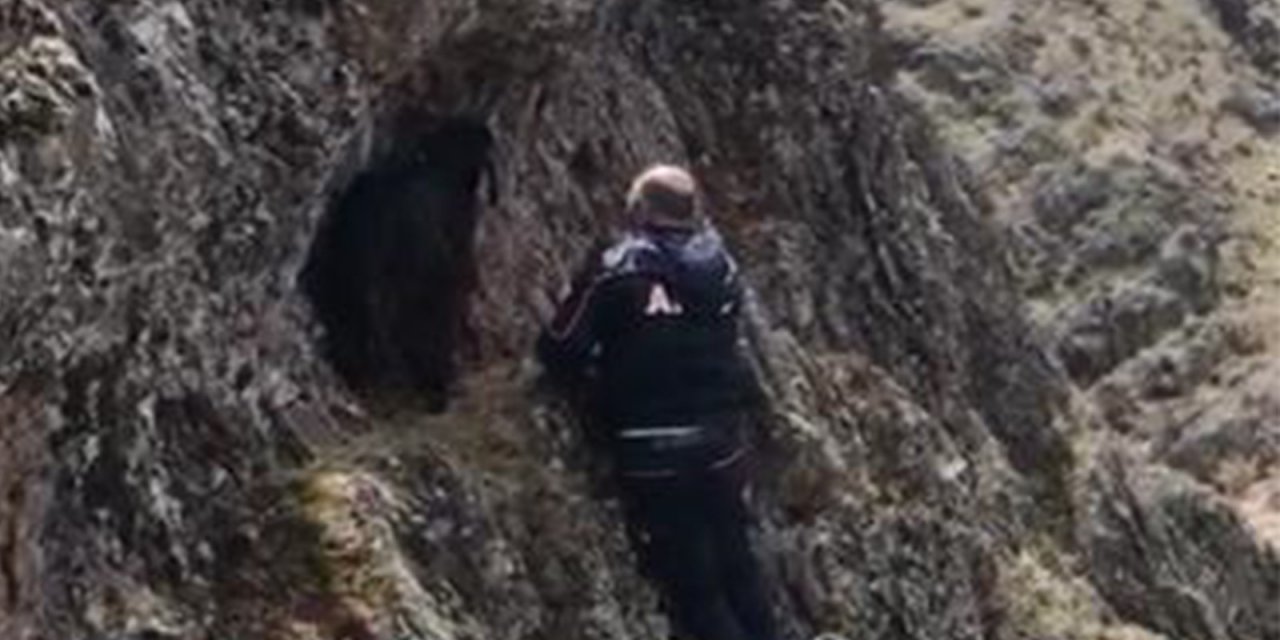 Kayalıkta Sıkışan Keçiyi Afad Kurtardı