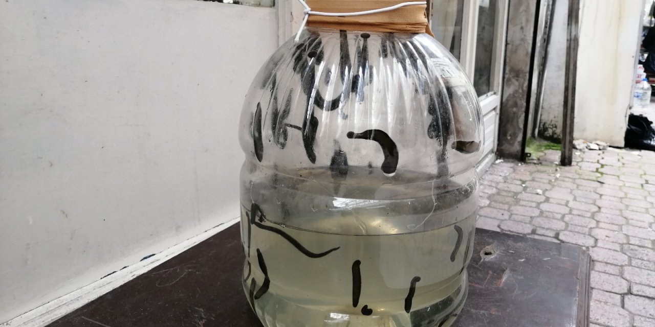 Tarihi Çarşıda Sülük Satılıyor