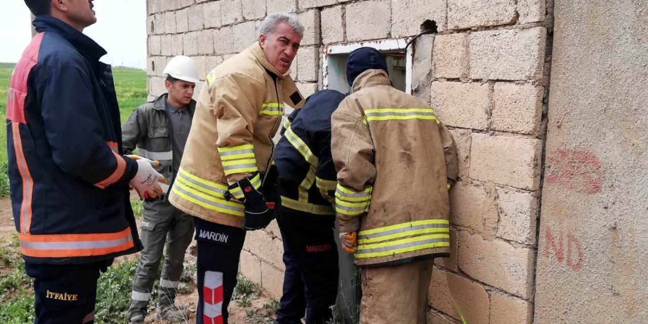 Mardin’de Yüksek Gerilim Hattına Temas Eden Genç Hayatını Kaybetti
