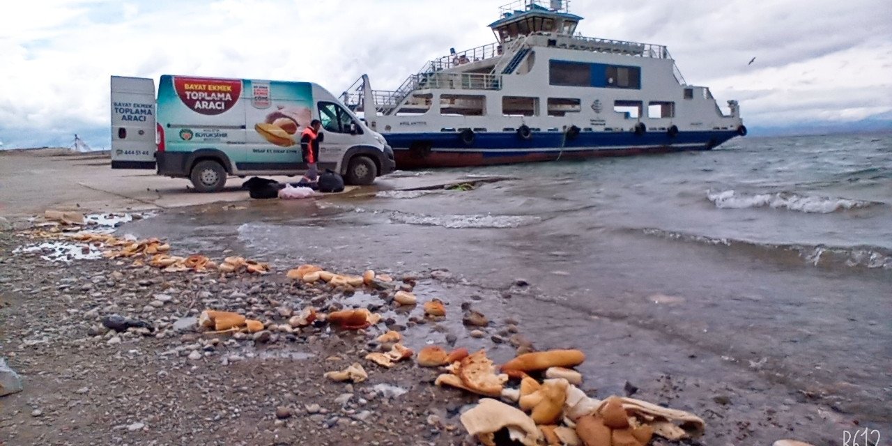 Malatya’da Sokak Hayvanları Unutulmuyor