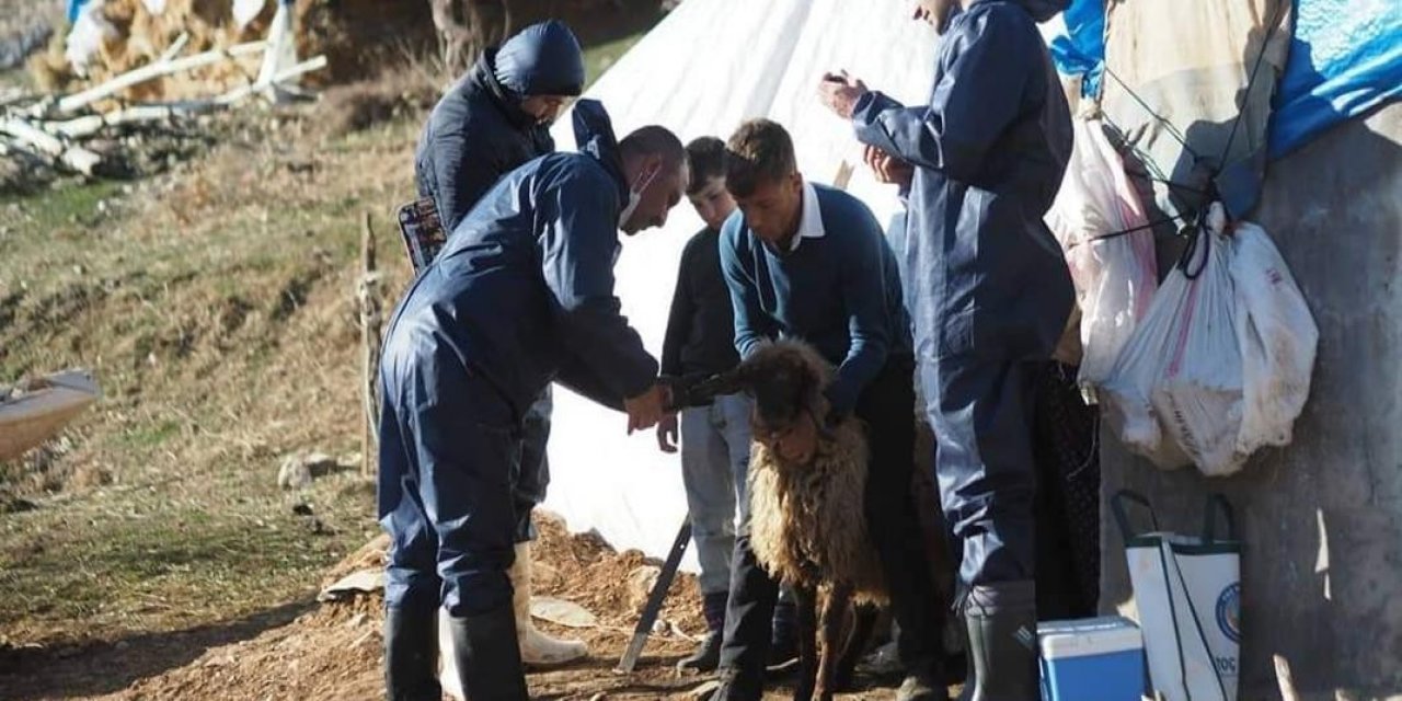 Bitlis’te Hayvan Hastalıklarına Karşı Aşılama Çalışması