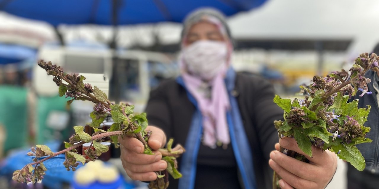 Şifa Dağıtan Kaldirik Otu Tezgahta Yerini Aldı