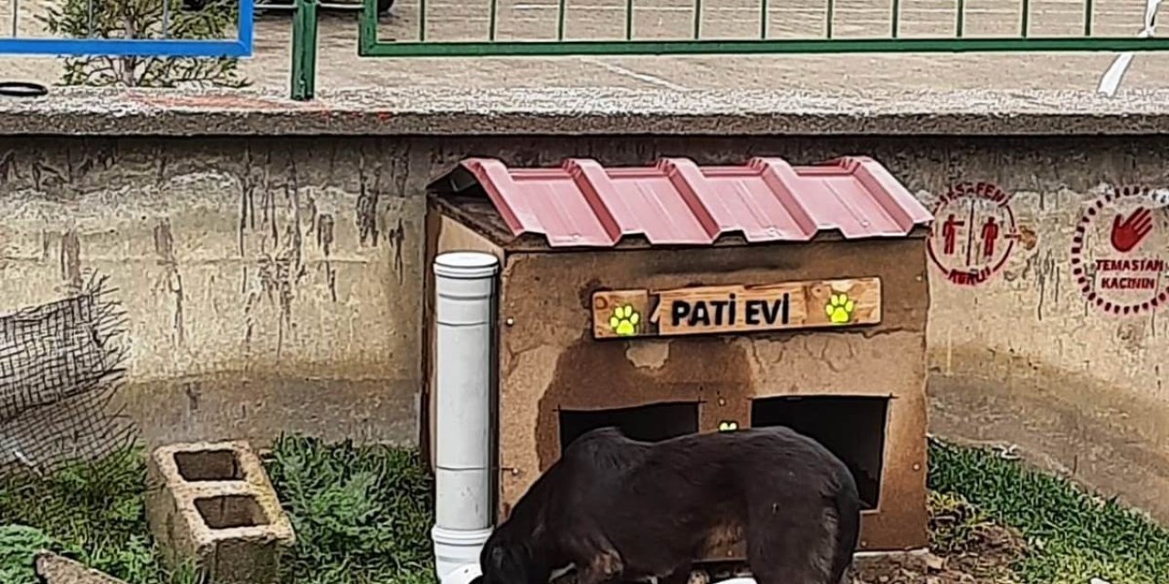 Hisarcık Şehitler Ortaokulu’nda “pati Evi” Projesi