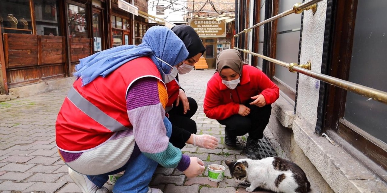 Safranbolu’dan Genç Kızılay Faaliyete Başladı