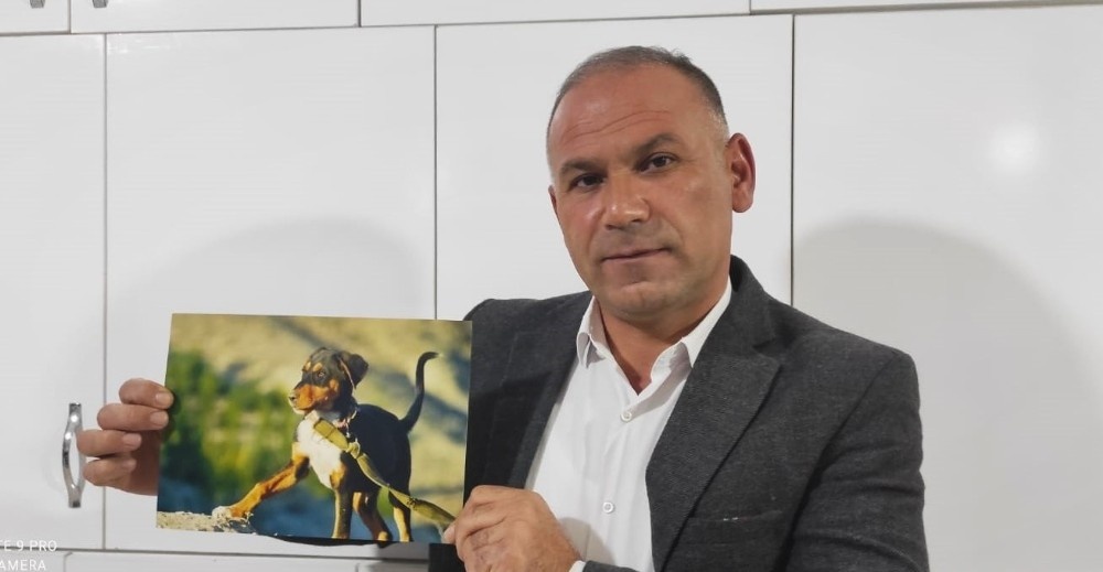 Köpeğini bulana arabasını hediye edecek