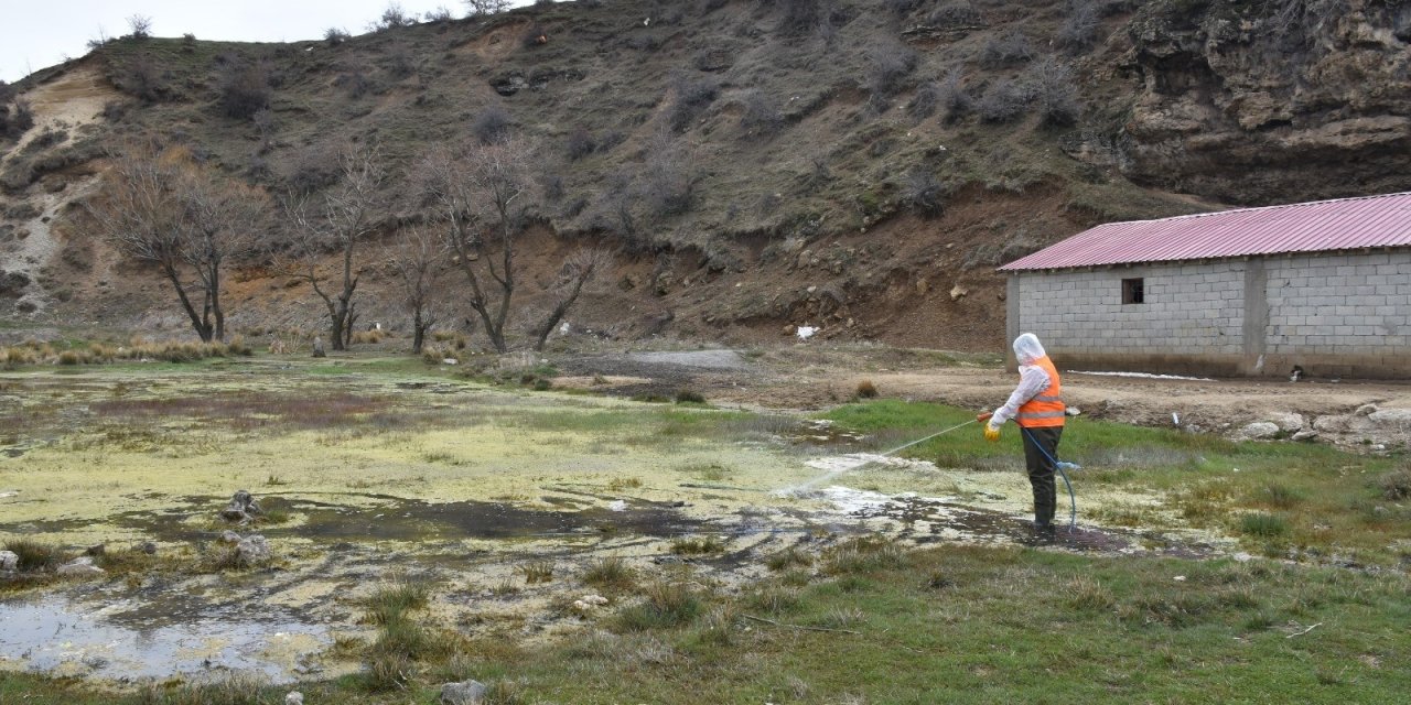 Tatvan’daki Park Ve Yeşil Alanlarda Lavra İlaçlama Çalışması