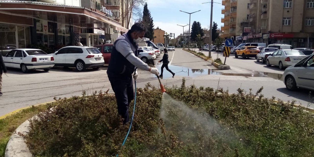Parklarda Haşere Mücadelesi