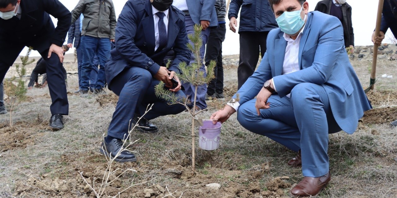 Çat’ta Yavi Şehitleri İçin 33 Fidan Dikildi