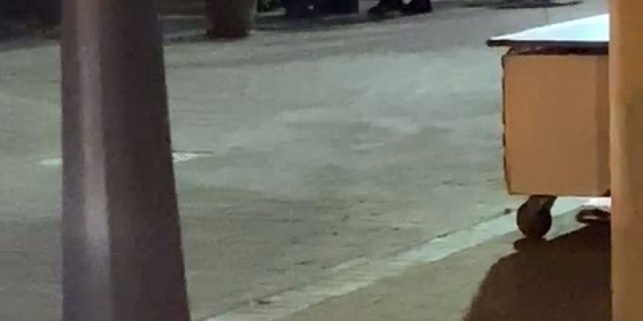 Polis Ekiplerine Zor Anlar Yaşatan Alkollü Şahıs Biber Gazıyla Etkisiz Hale Getirildi