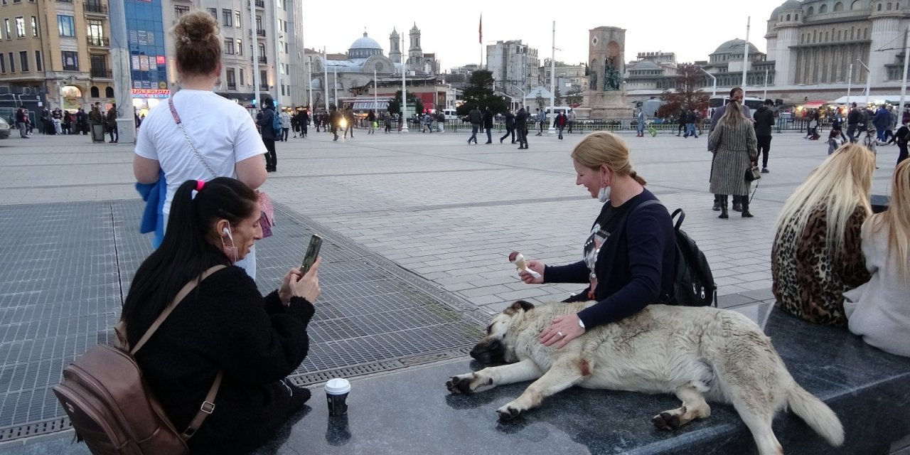 Taksim’de Köpeğin Turistlerle Dondurma Keyfi