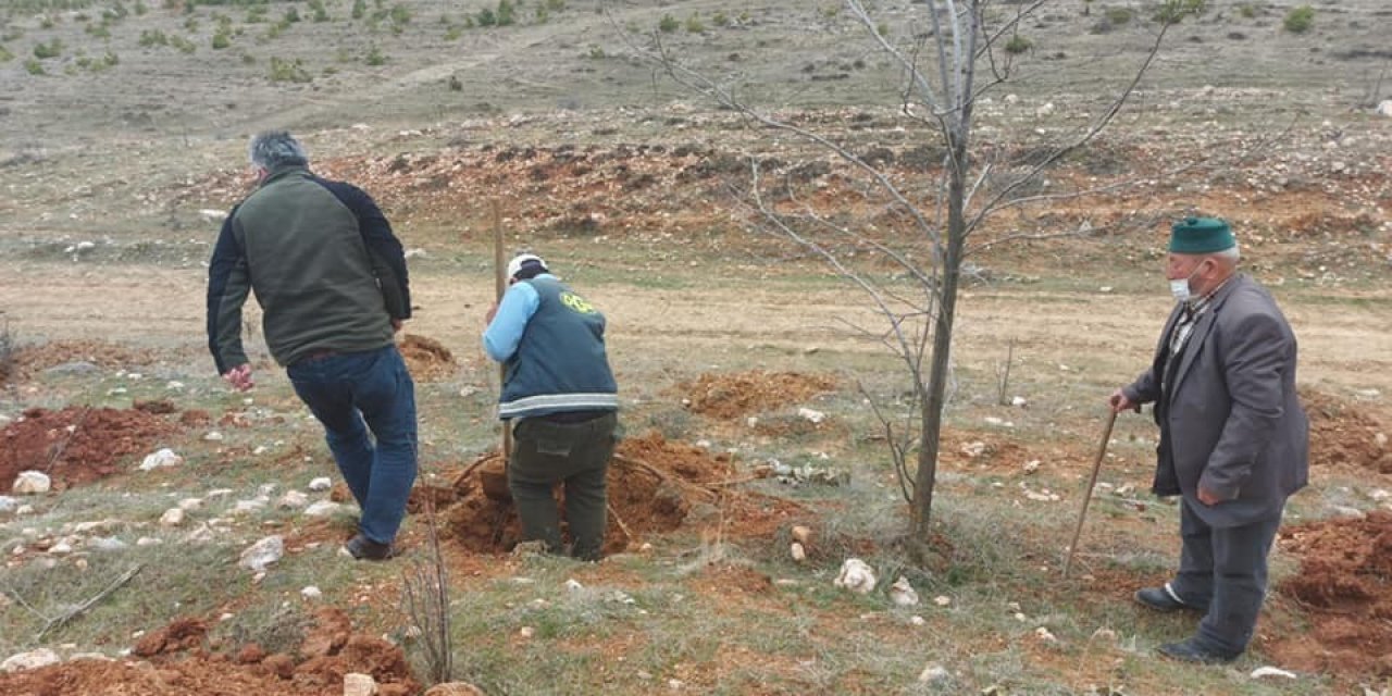 Altıntaş’ta ’’bal Ormanı’’ Çalışmaları